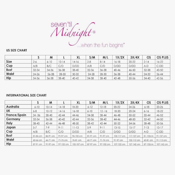 NWT Seven ‘til Midnight White Underwired Lace Mesh Bustier - Size 3X/4X - Picture 3 of 3